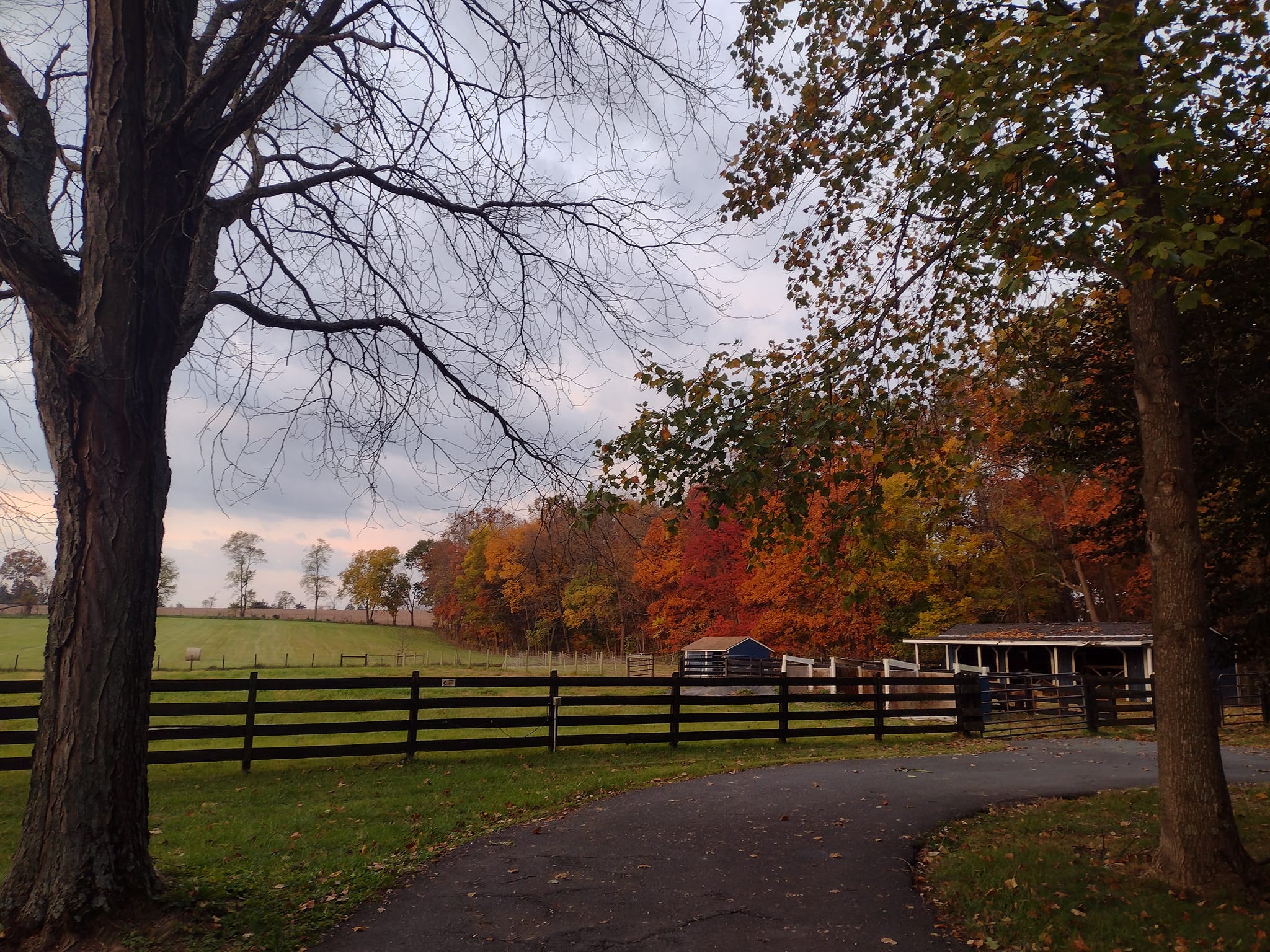Moon Gap Acres