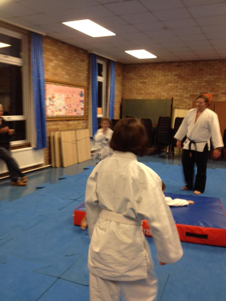 Danzan Ryu Jujitsu of Arizona | Tempe AZ