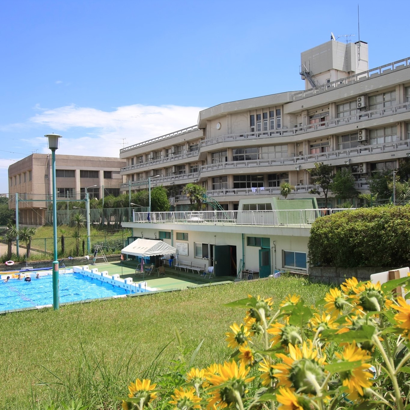 山手 学院 高校