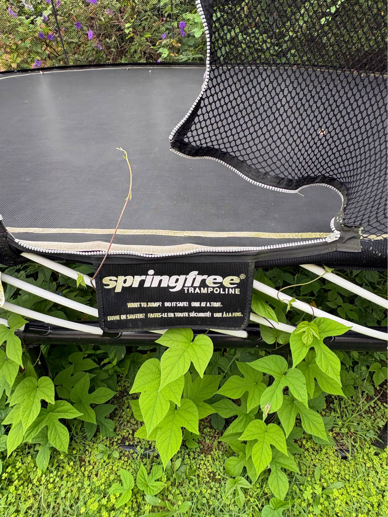 Large Square Springfree Trampoline - Great Condition - Trampolines ...