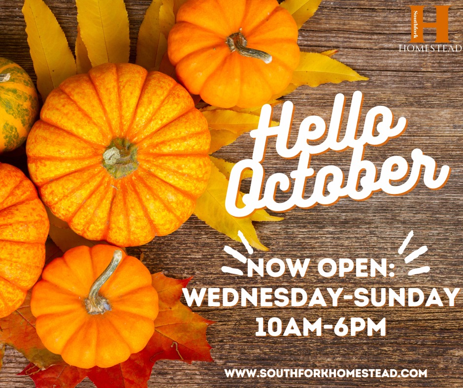 Southfork - 🍂🎃 Hello, October! 🍂🎃 We're excited to announce that ...