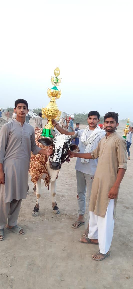 Rana Kamran Rajput