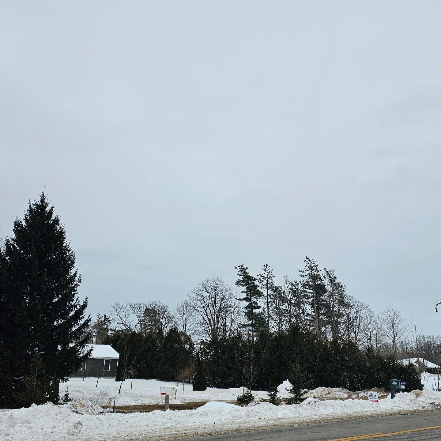 friesen-tree-services-springfield-on