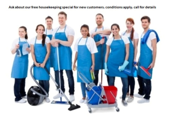 Green magic housekeeping | Ann Arbor MI