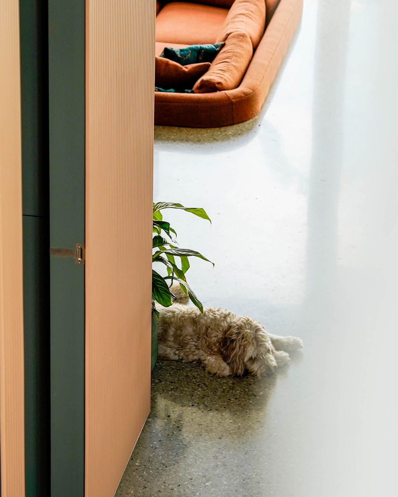SGKS ARCH - A thoughtful blend of colour and intrigue, the...
