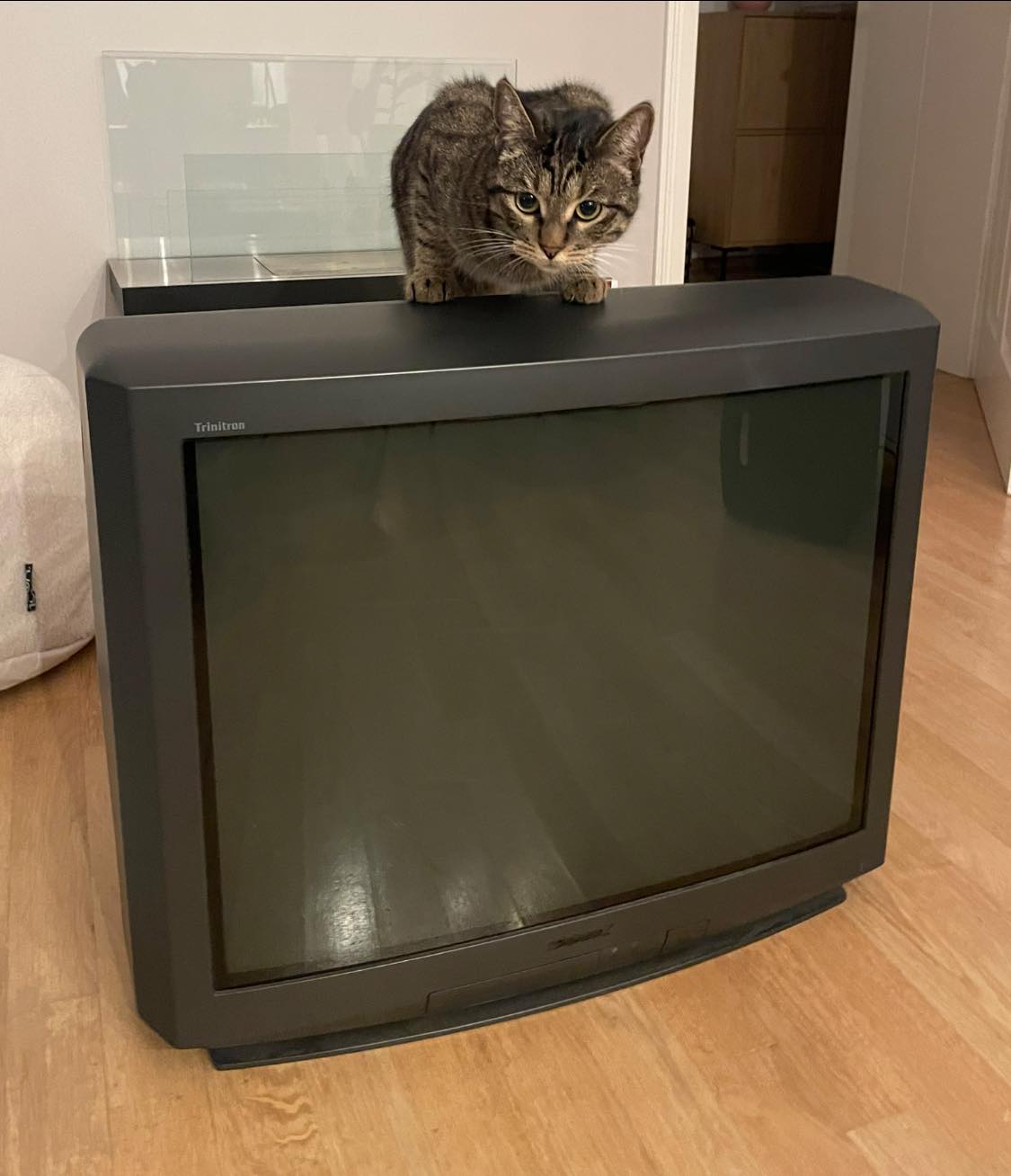 Sony KV-29XL71K TV pickup experience