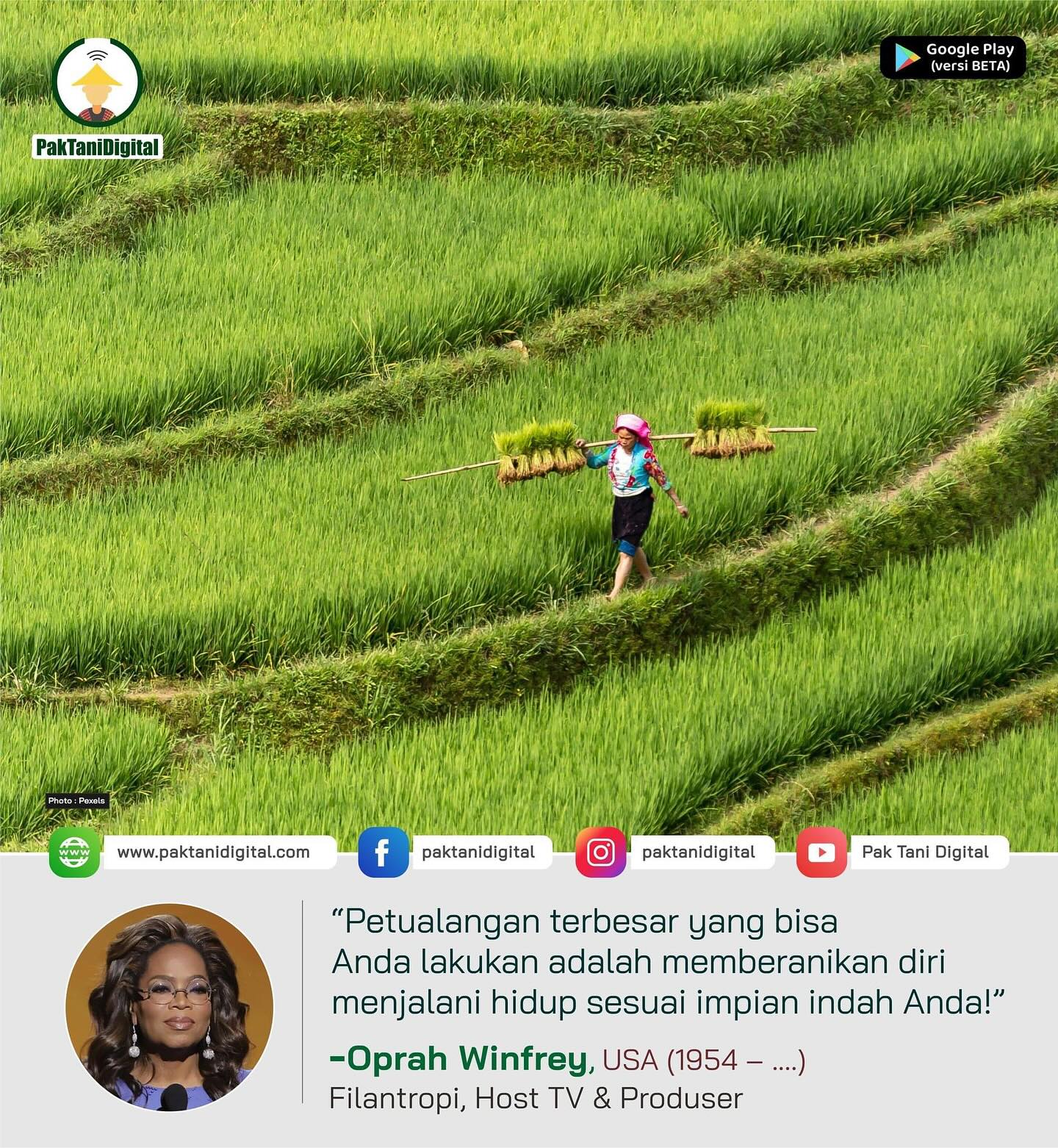 Pak Tani Digital