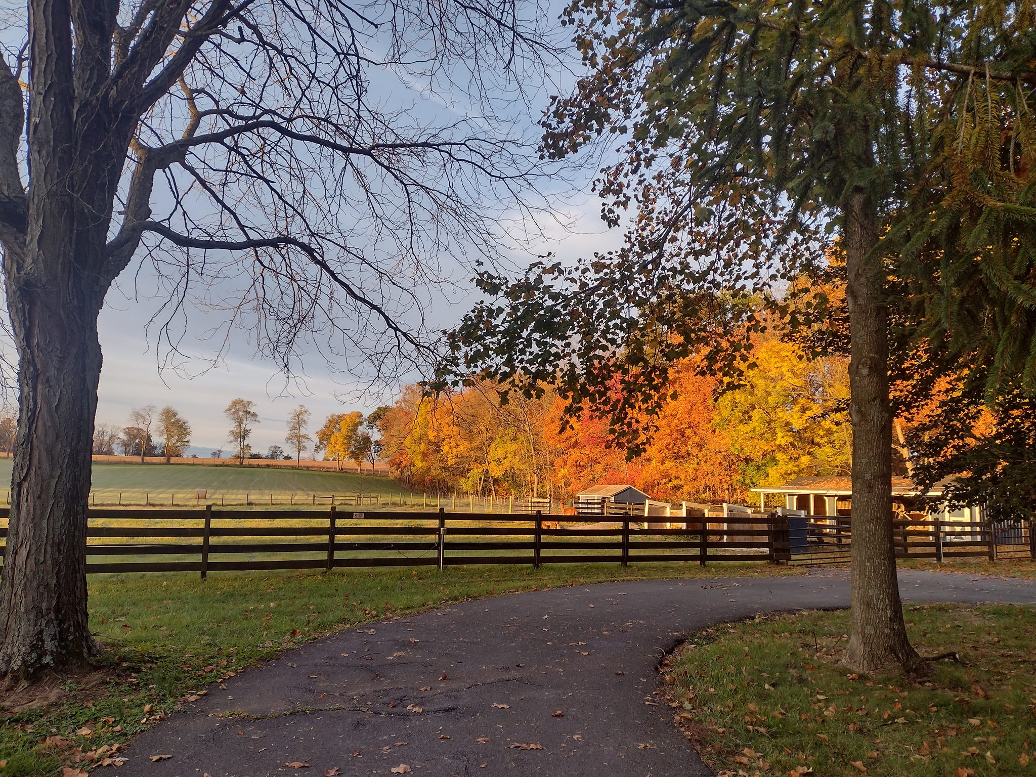 Moon Gap Acres