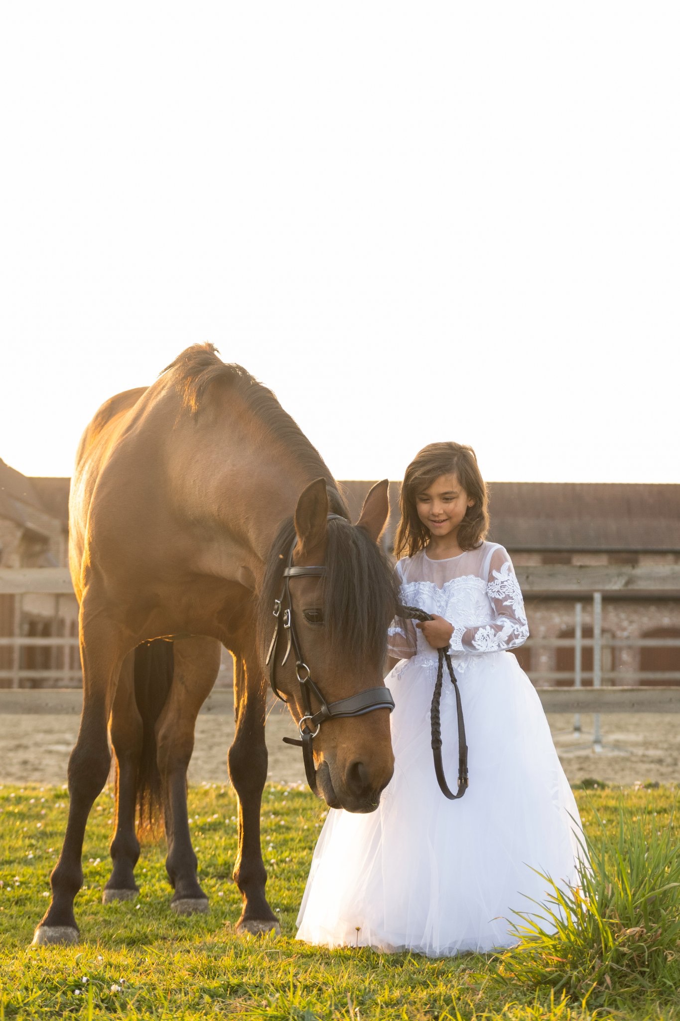 The Paint Ranch | Kooigem