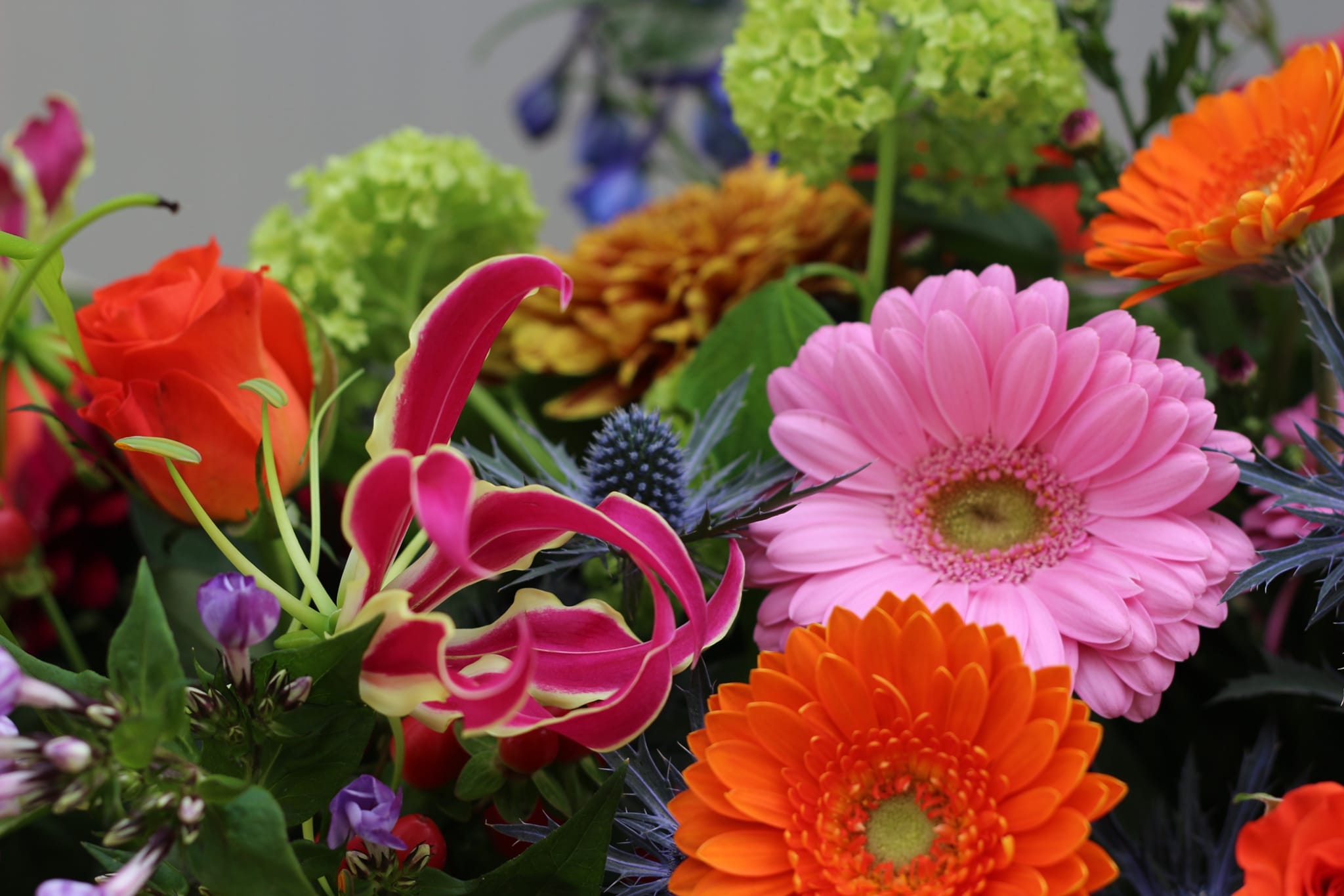 Vi... - Villa Vivante 'Bloemenshop Groenrijk Berg en Terblijt'