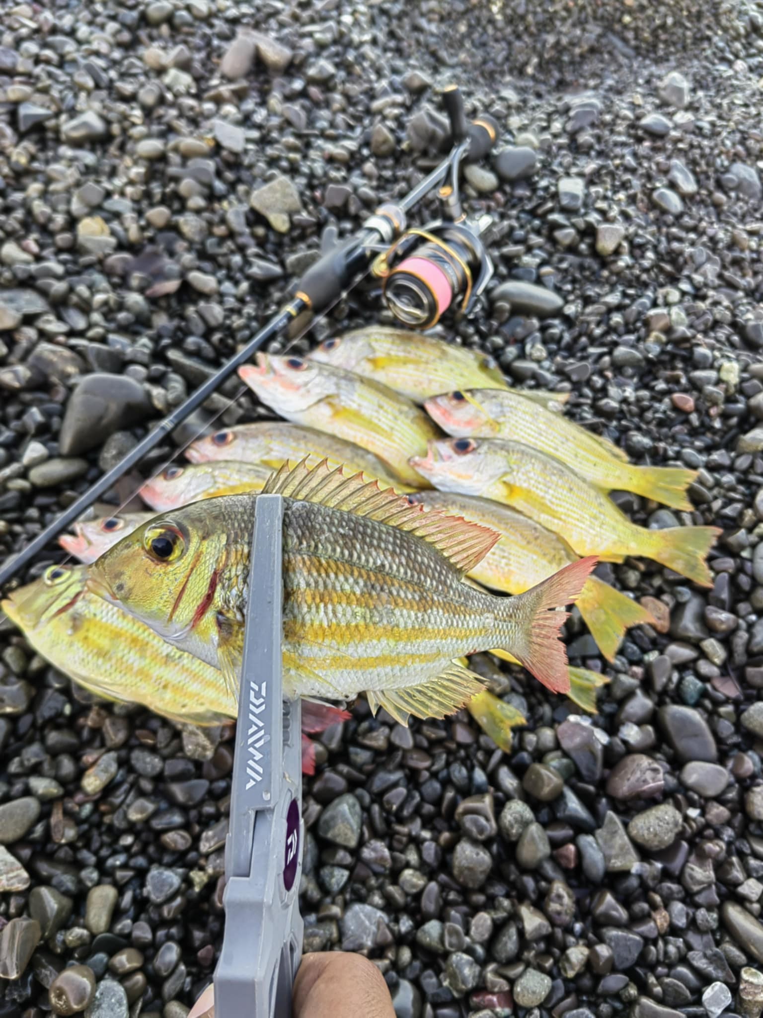 adidas air strap backpacks Airmesh Mini Backpack Its triangle clip keeps Abu Garcia Right Baitcast Color:Leopard Rose outdoor_gear