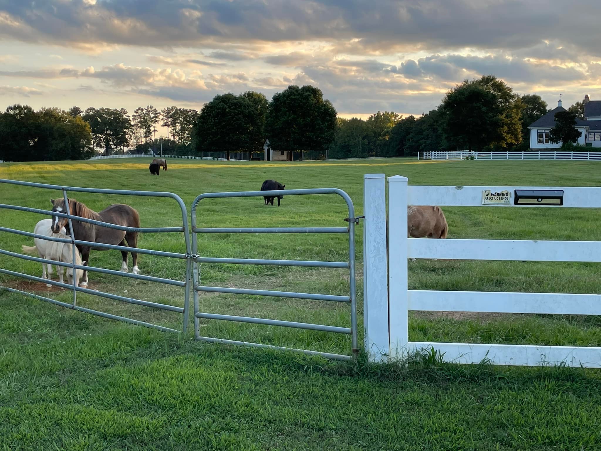 Fives Pavilion at Riesen Ranch | Senoia GA