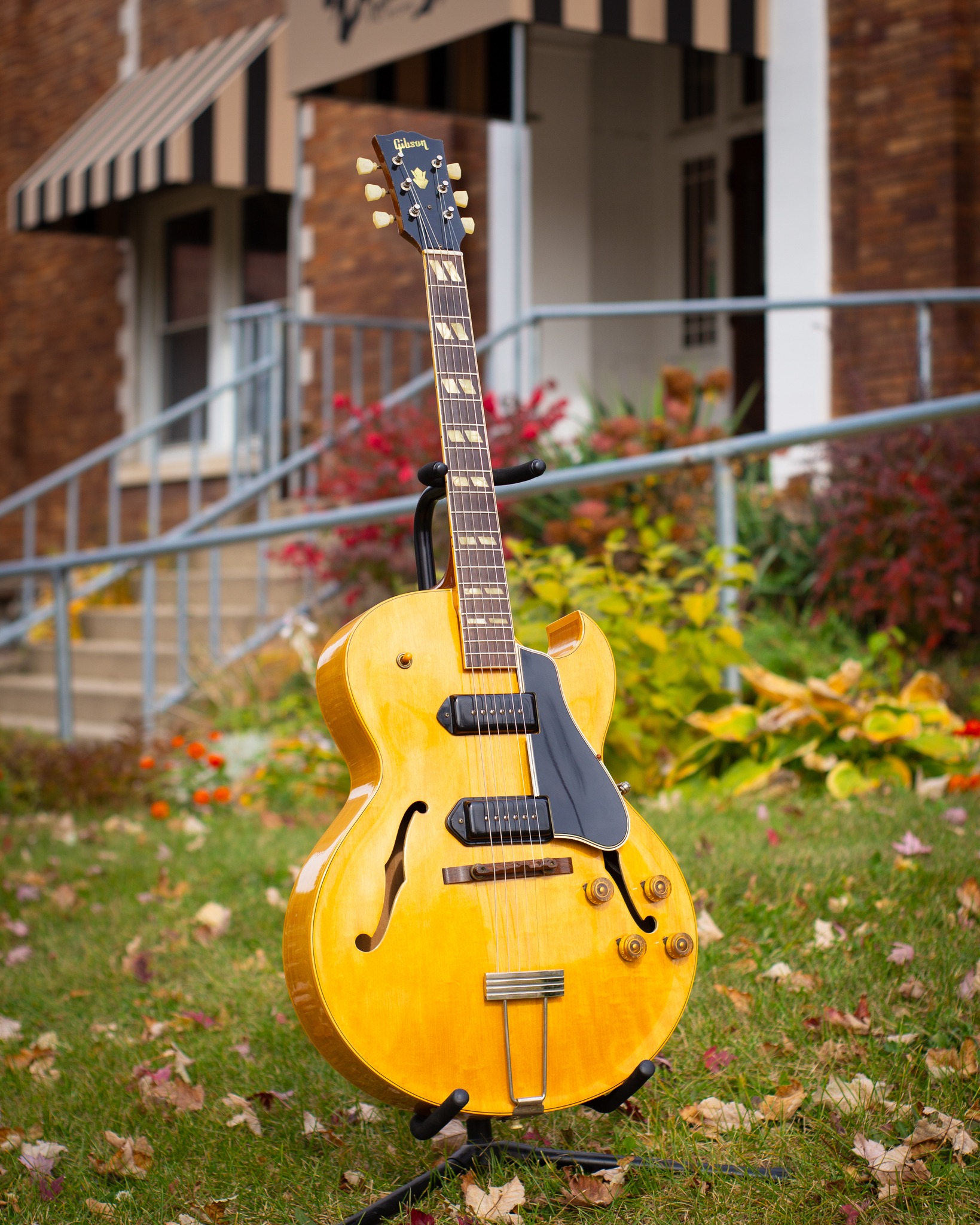 This just in - the Gibson Midtown Kalamazoo is a killer short