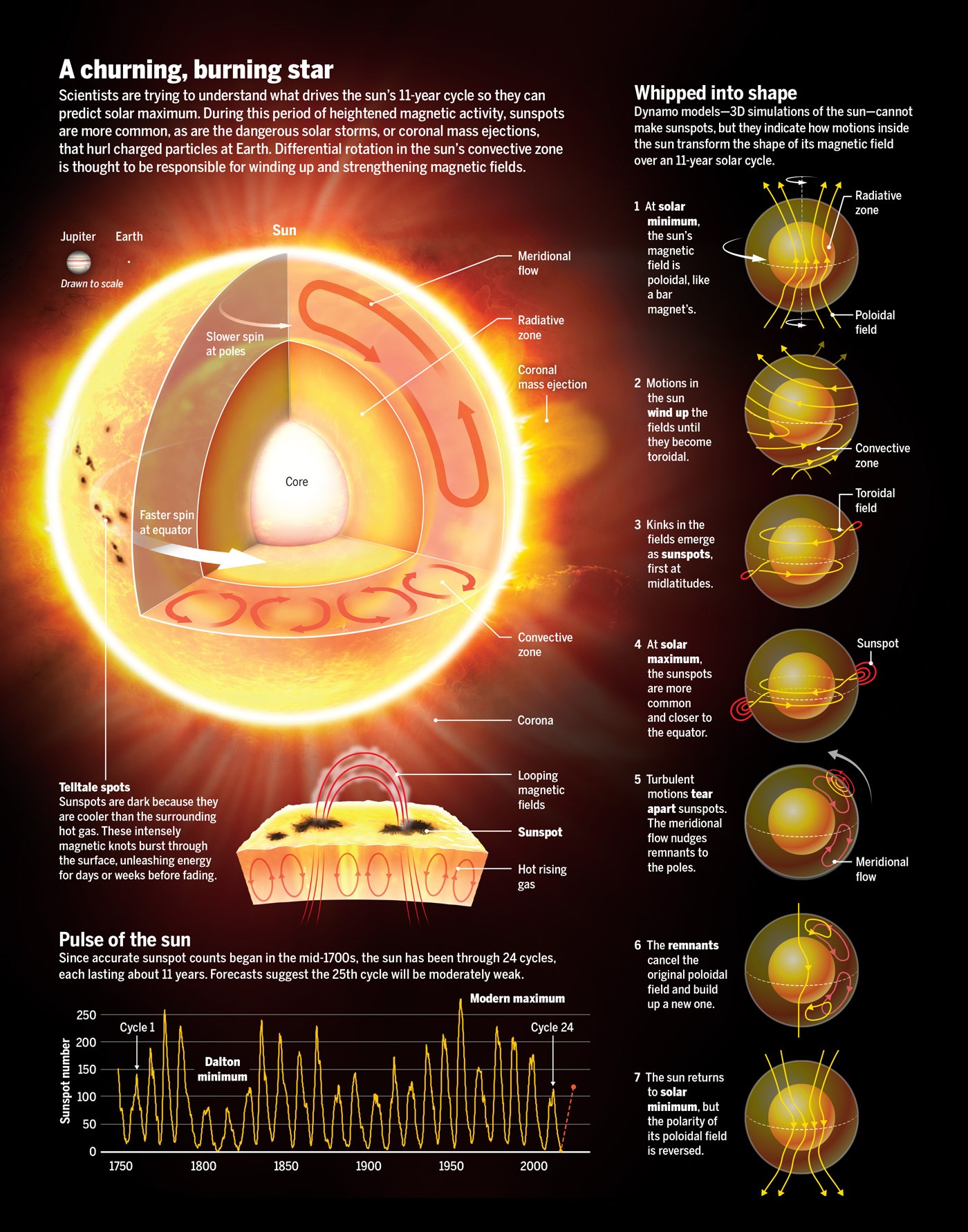 Ceres Science - This infographic provides useful...