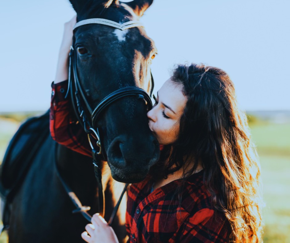 Dr - The Conditionally Loved Horse I hear all the time how people love ...