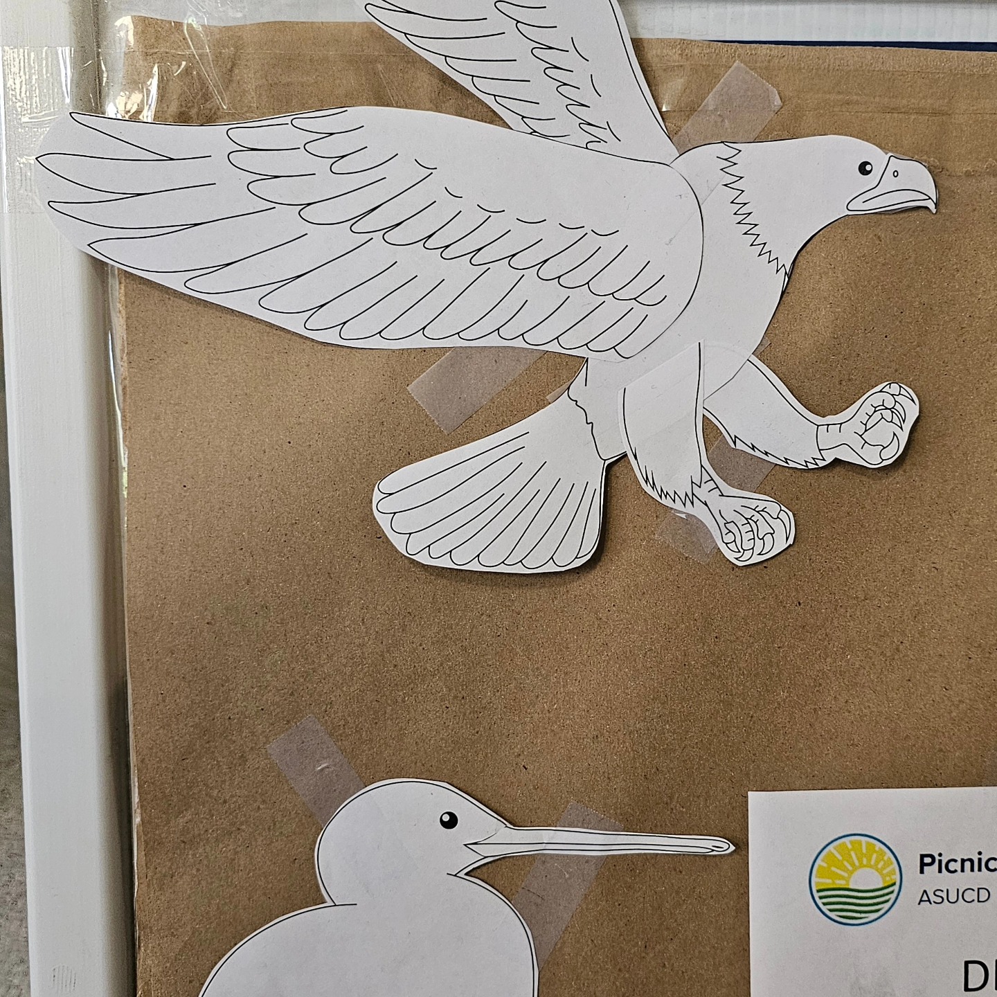 Build-a-Bir... - Museum of Wildlife and Fish Biology, UC Davis