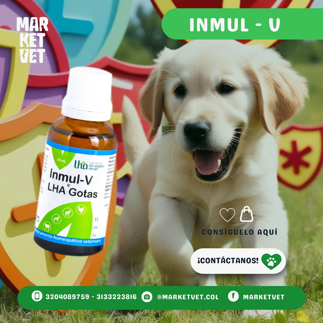 Marketvet - 🔬🐾 INMUL-V: Refuerza el sistema inmune de tus animales 🛡️💚 ...