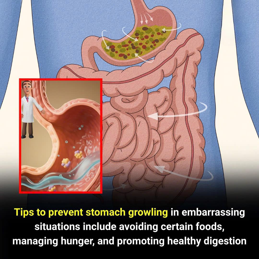 Blogtamsu TV - Tips to Stop Stomach Growling | Facebook