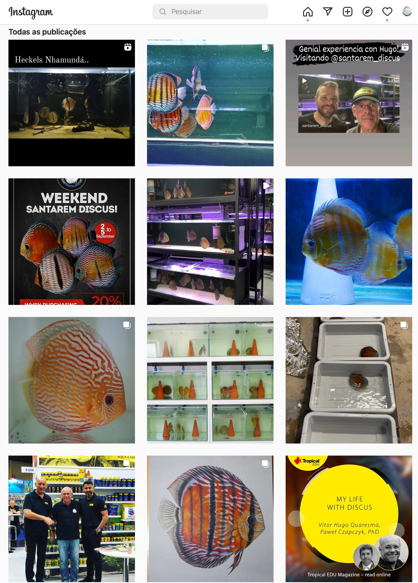Do you have instagram ? So Follow... - Santarem Discus Plus | Facebook