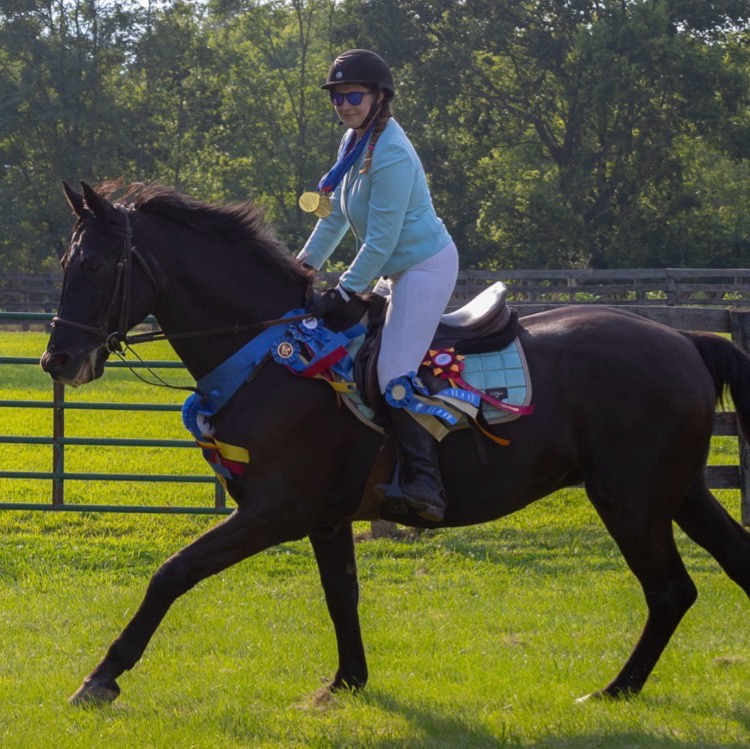 Arabian & Half/Anglo Arabian Sport Horses | I just got this mare ...