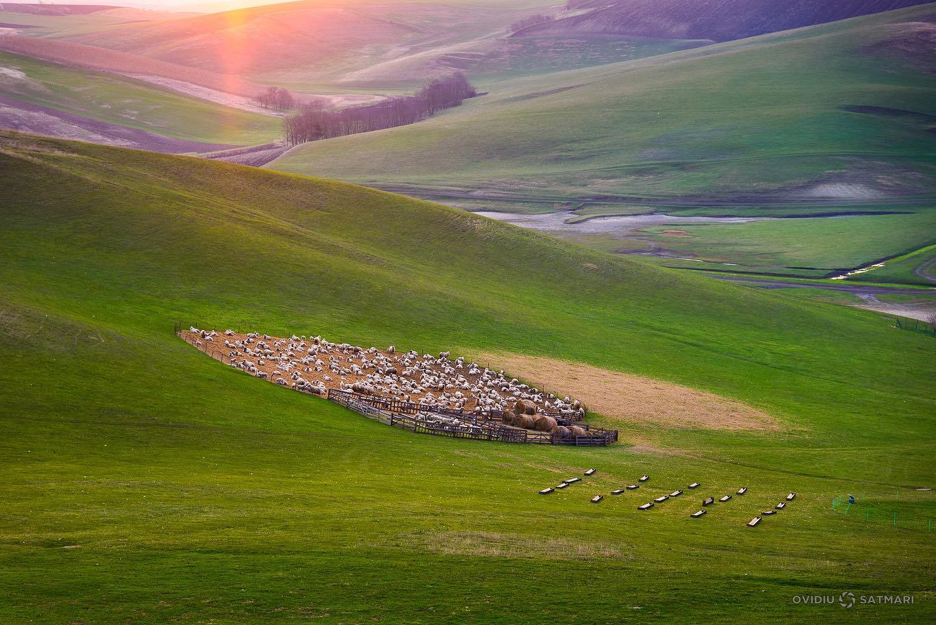 Spring, on the hills around Cluj... - Carpathian Expeditions | Facebook
