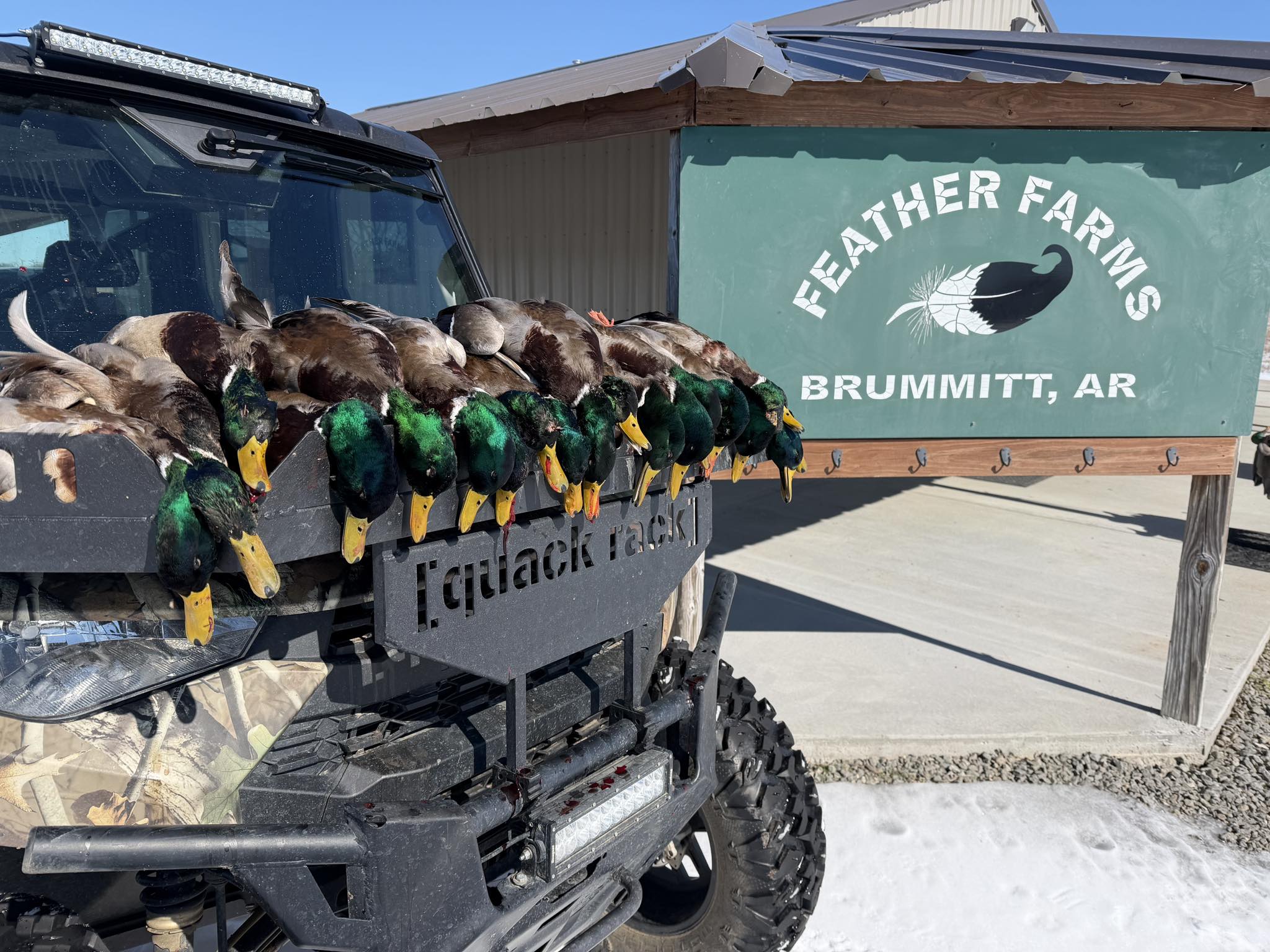 Feather Farms