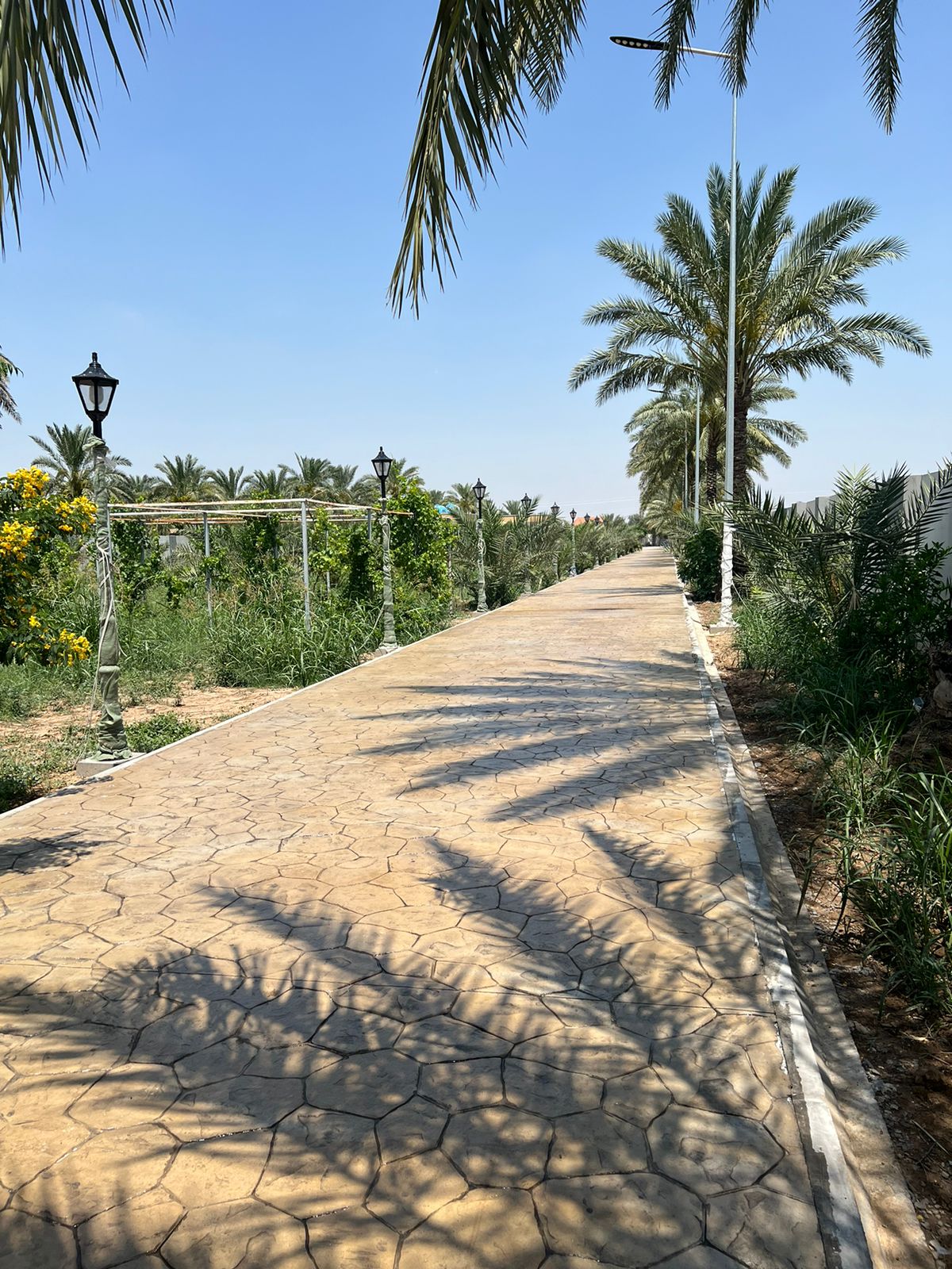 القيصر للعقارات بيع وإيجارات