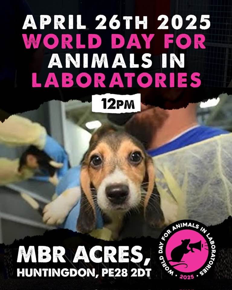 Free - 🚨 Less than 2 months to go until World Day for Animals in ...