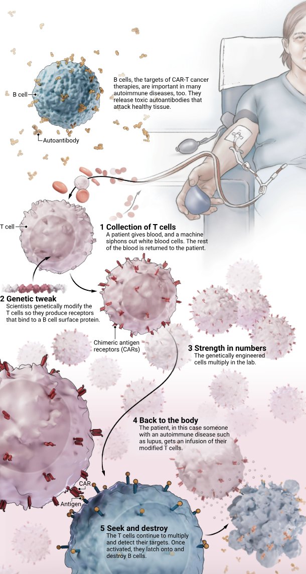Science - Chimeric antigen receptor T-cell (CAR-T)...