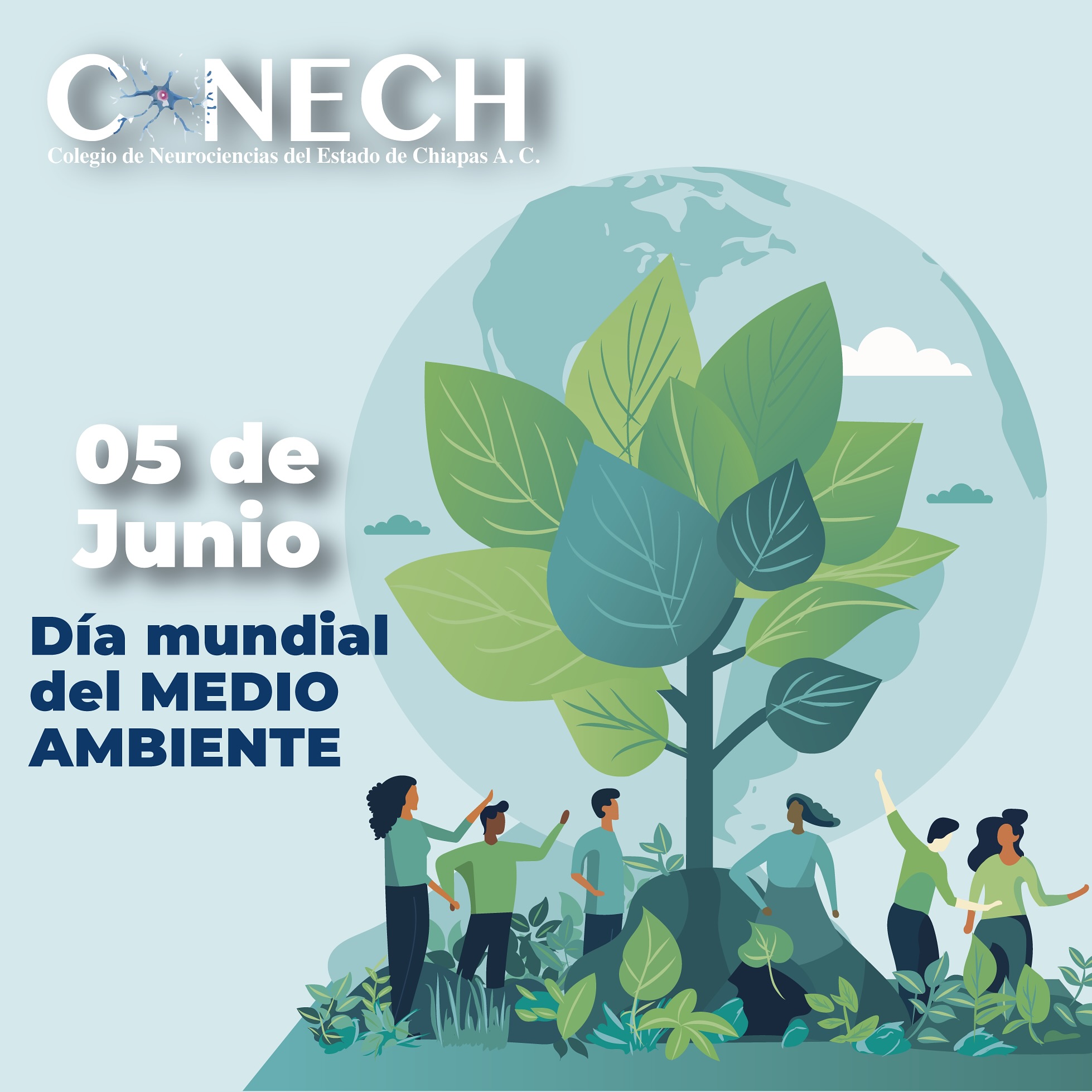 Colegio - Hoy, 5 de junio, celebramos el Día Mundial del Medio Ambiente ...