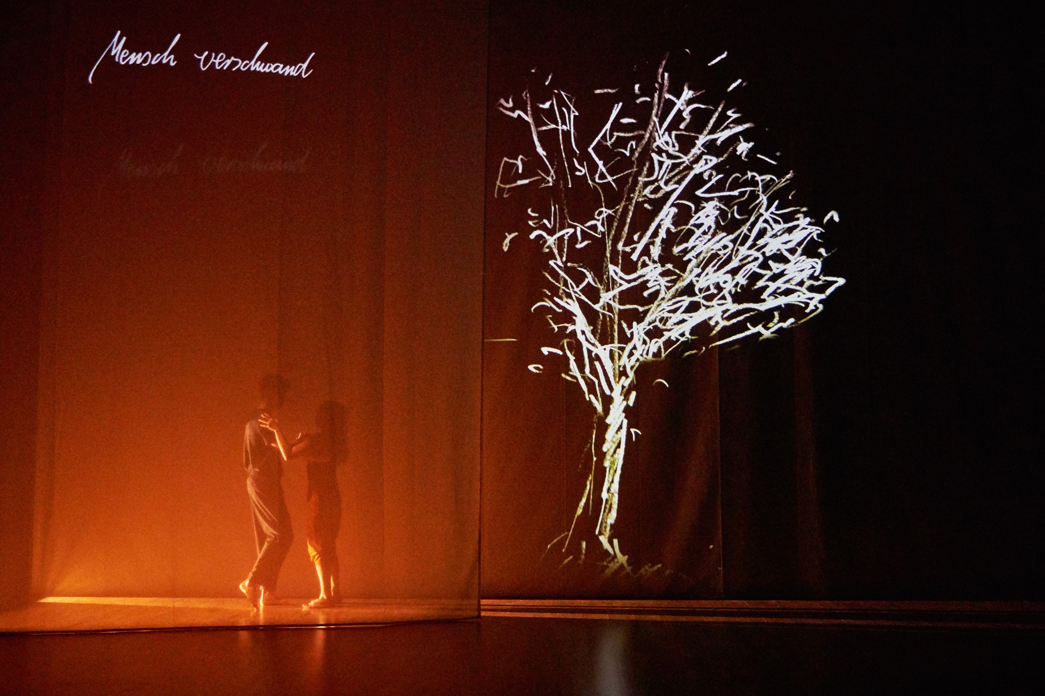 HEIMKEHR - Eine Performance mit Joy Alpuerto Ritter und Lukas Steltner