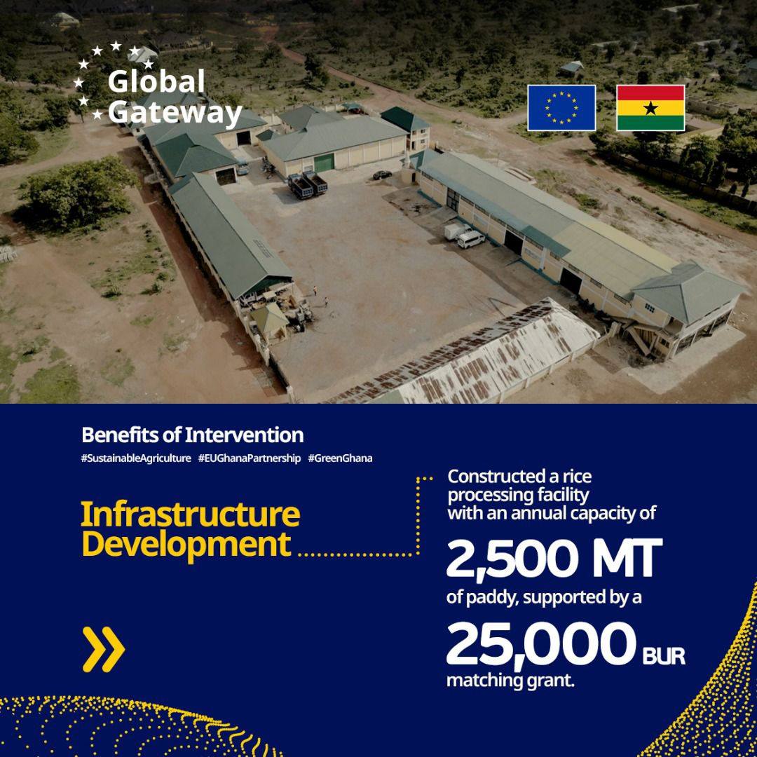 🌾 Revolutionising rice farming... - European Union in Ghana | Facebook
