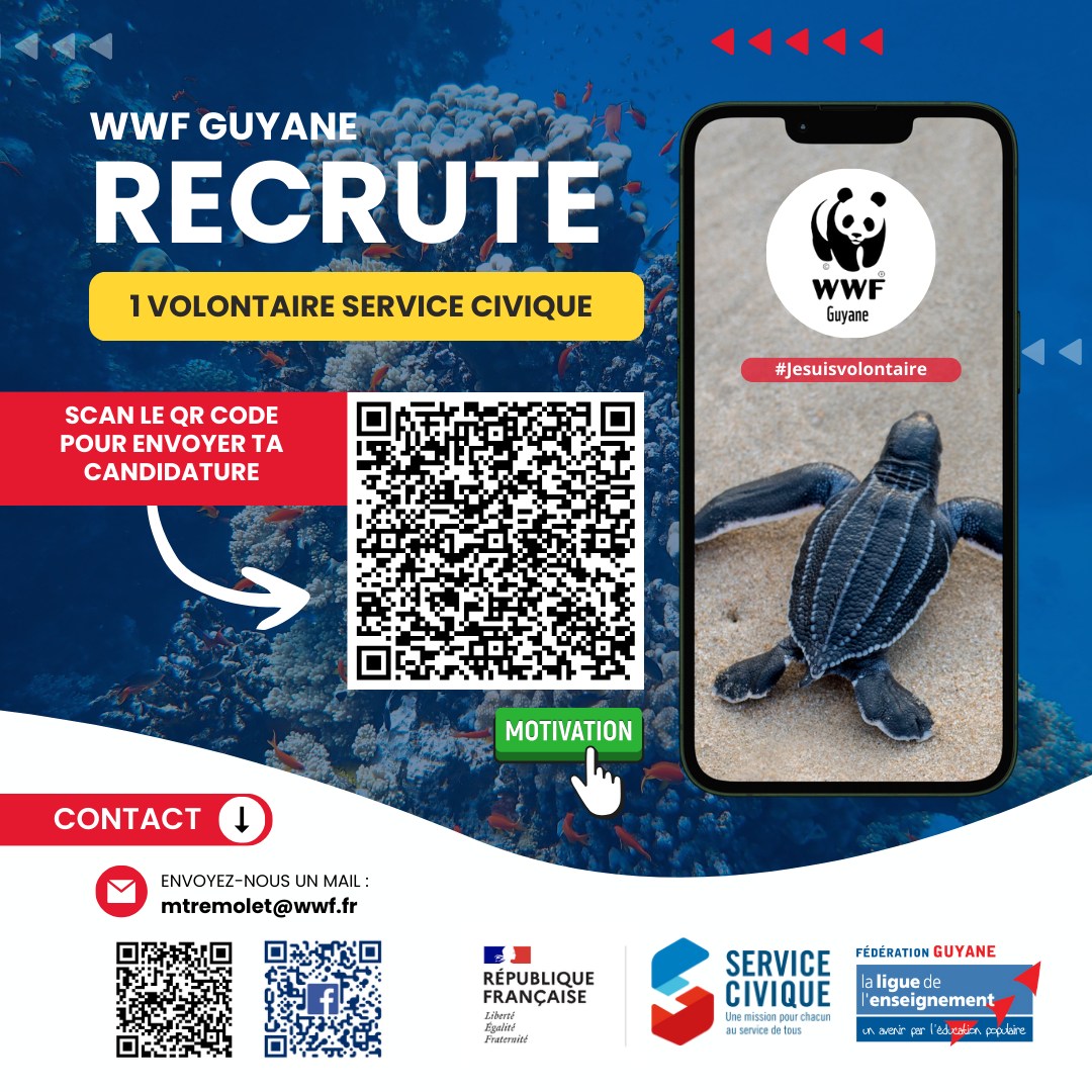 Ligue De L'enseignement Federation De Guyane | Cayenne French Guiana