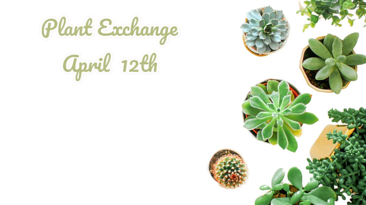 Spring Plant Exchange!!