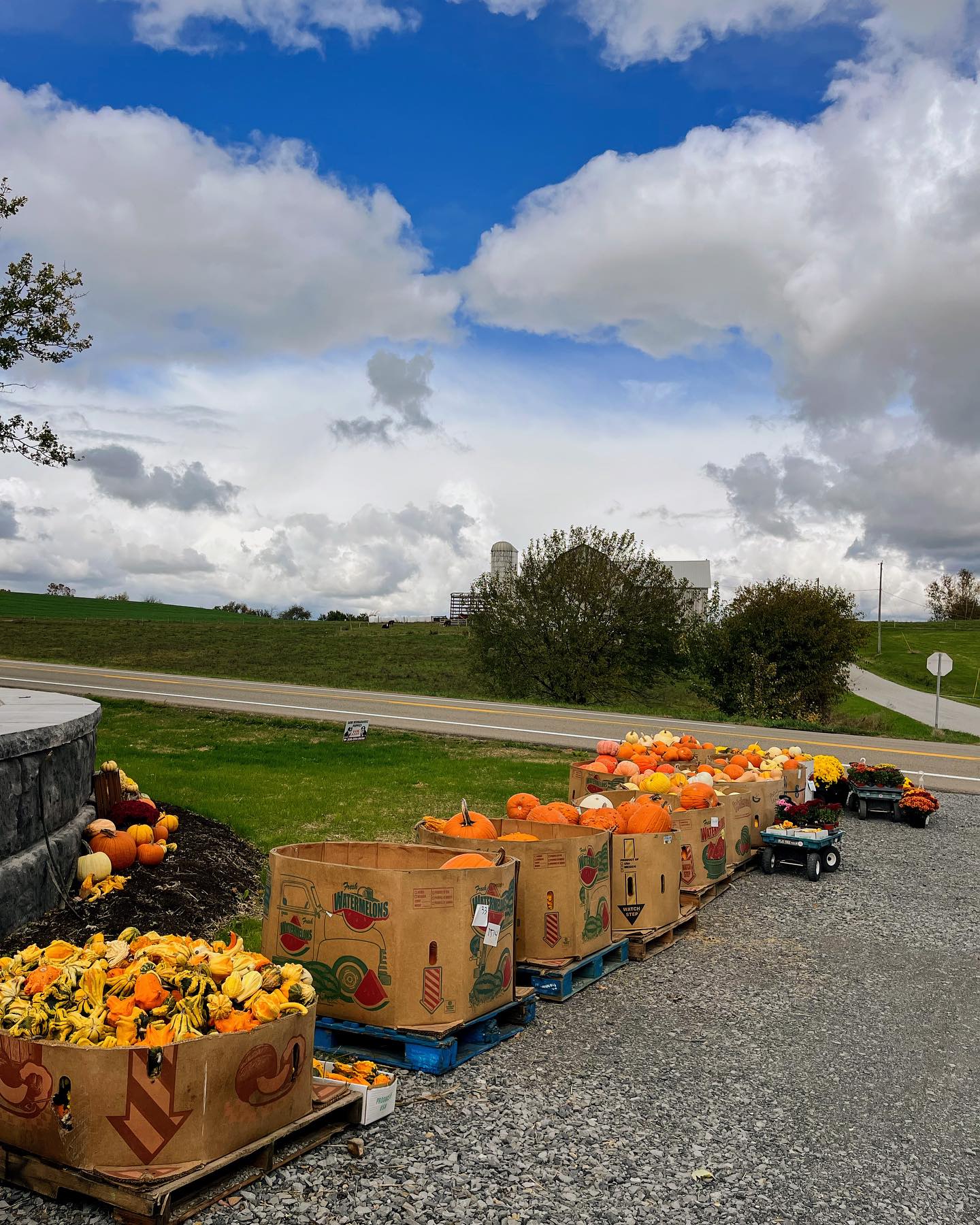 Cherry Ridge Greenhouse | Sugarcreek OH