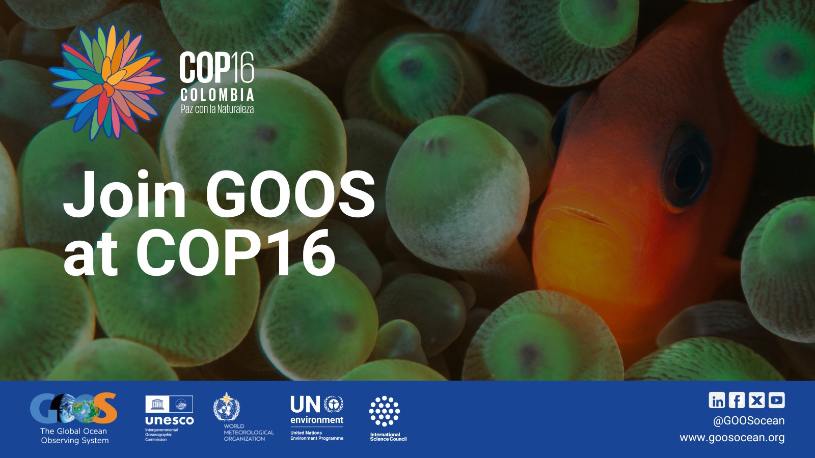 GOOS - The ocean is our life support system on Earth — yet we still ...