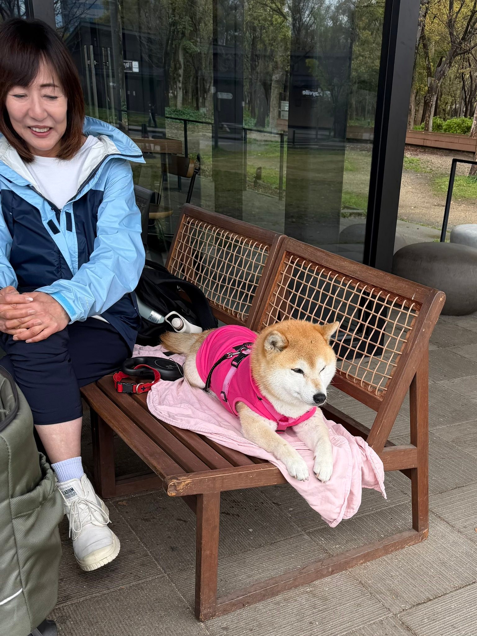 Dogs of Japan!!!🇯🇵 🐾 gB III D0MUT NAN Pog ないでください おず