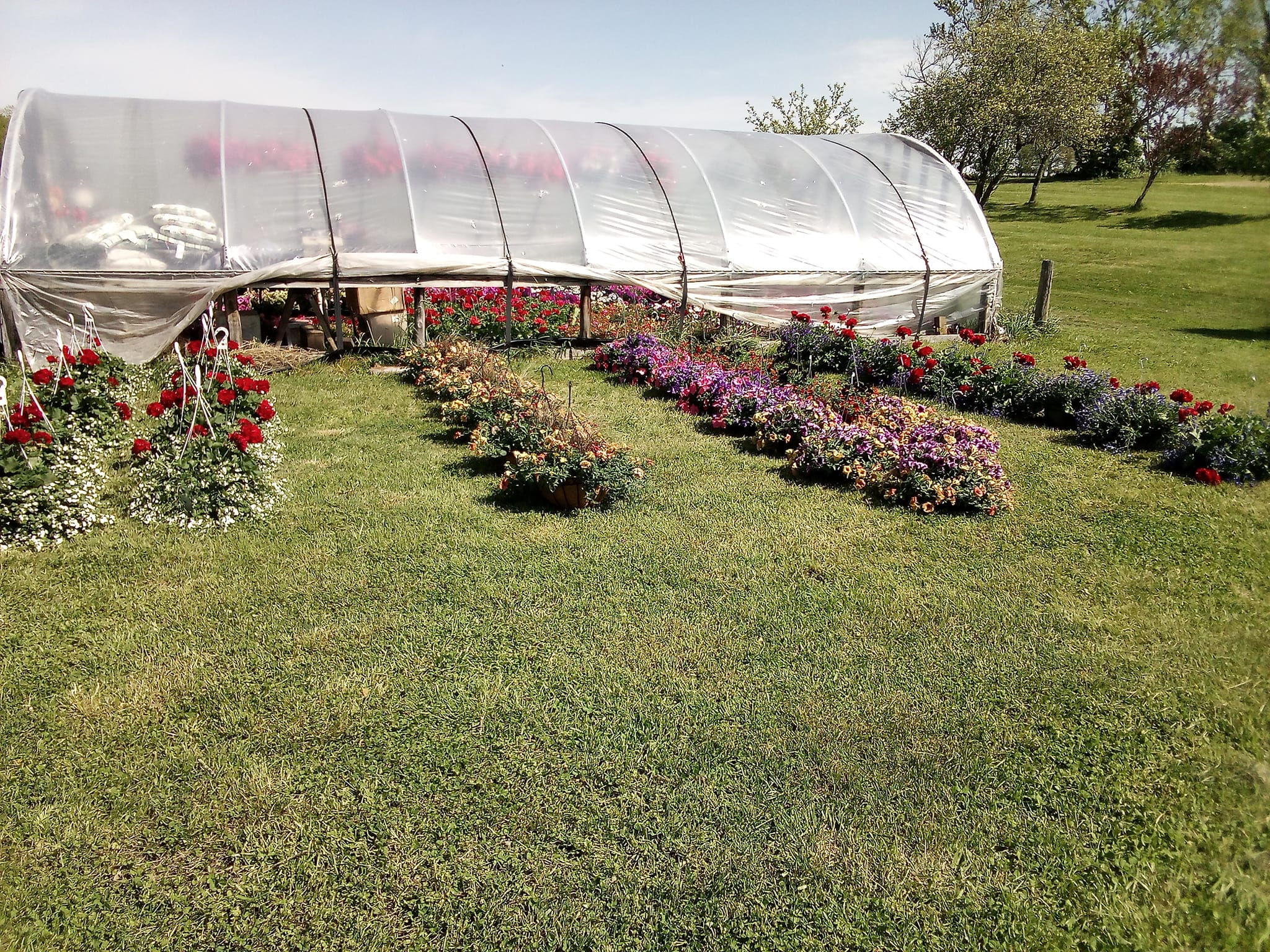 Conn Family farms garden and produce | Wilmore KY
