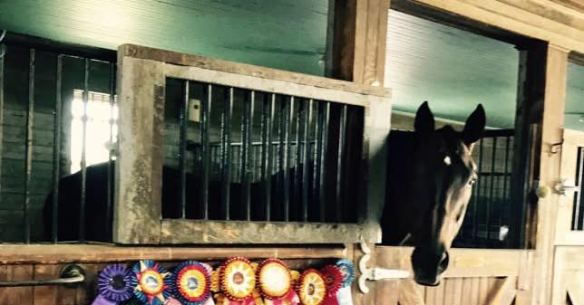 Windy Ridge Stables | Middletown CT