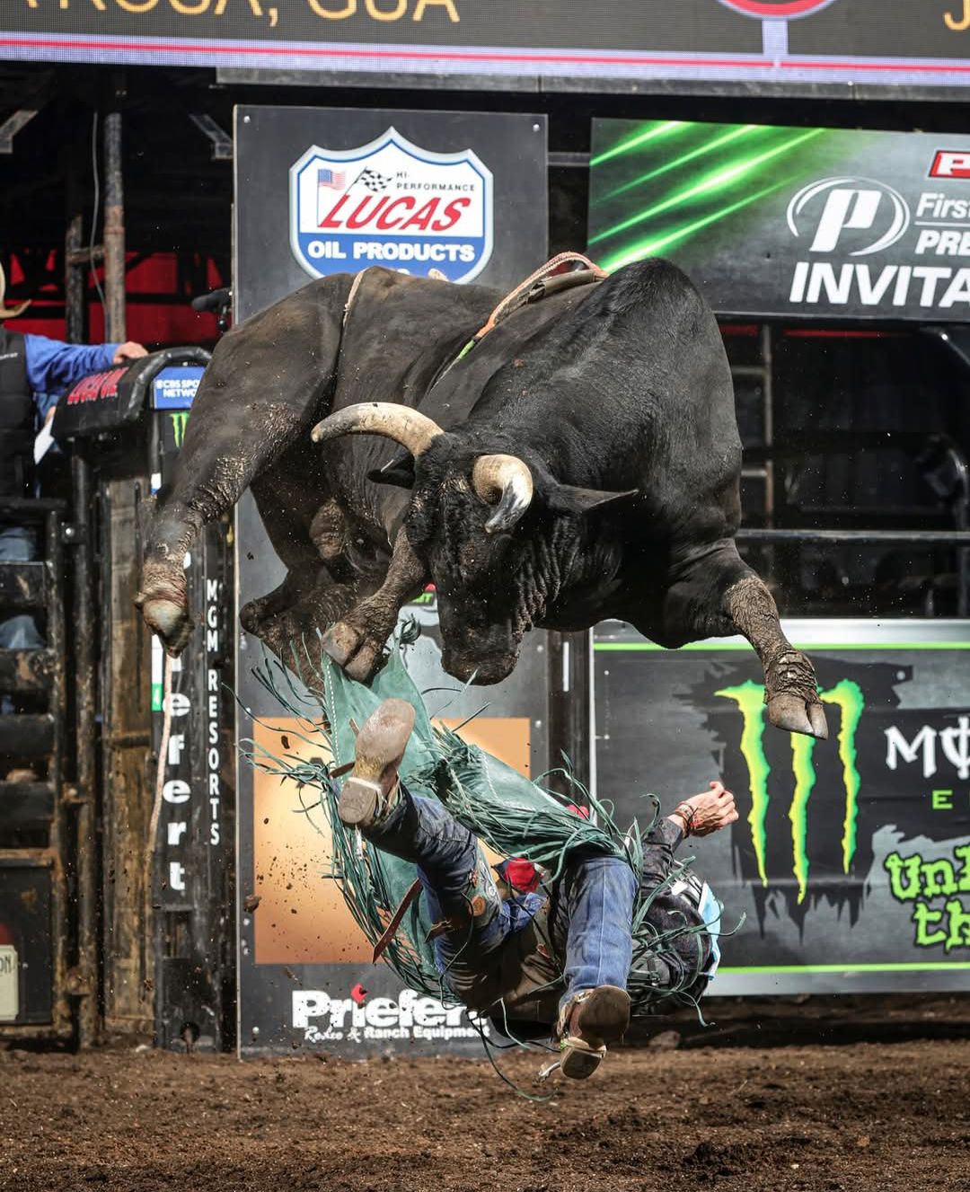 Bullmania Klamath Falls | Klamath Falls OR
