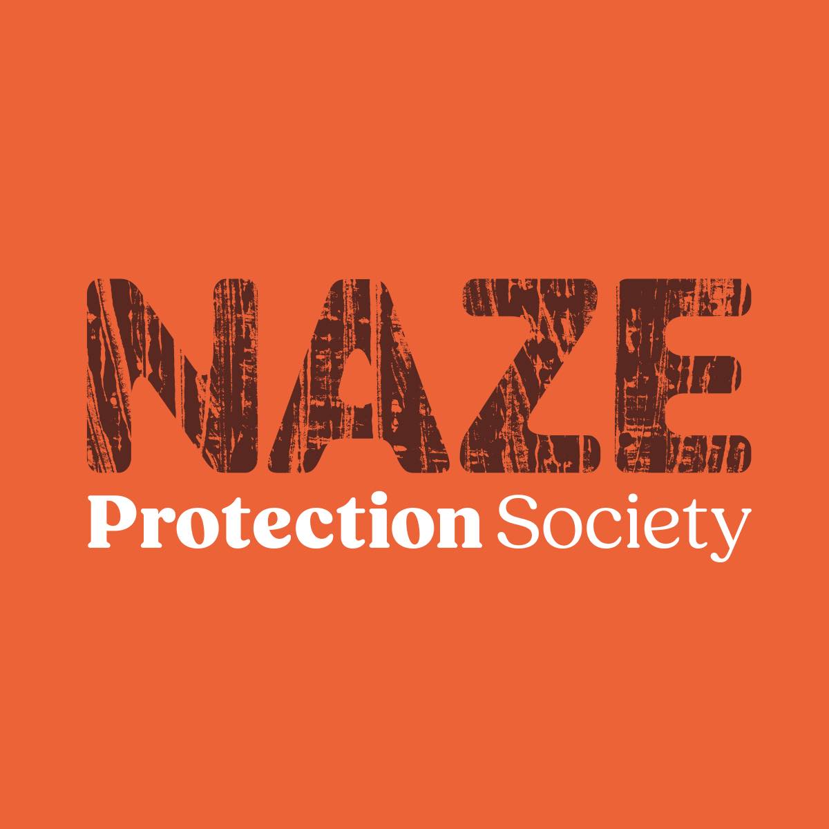 Logotipo De Naze Naze Sports Minimal Tech Font Letter Stock Vector