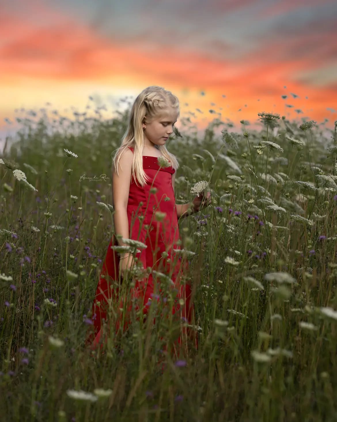 Amanda Rae Photography