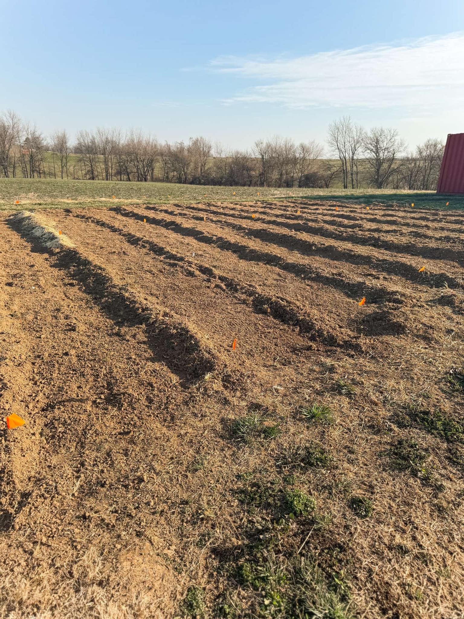 Oak Ridge FFA Chapter | Oak Ridge MO