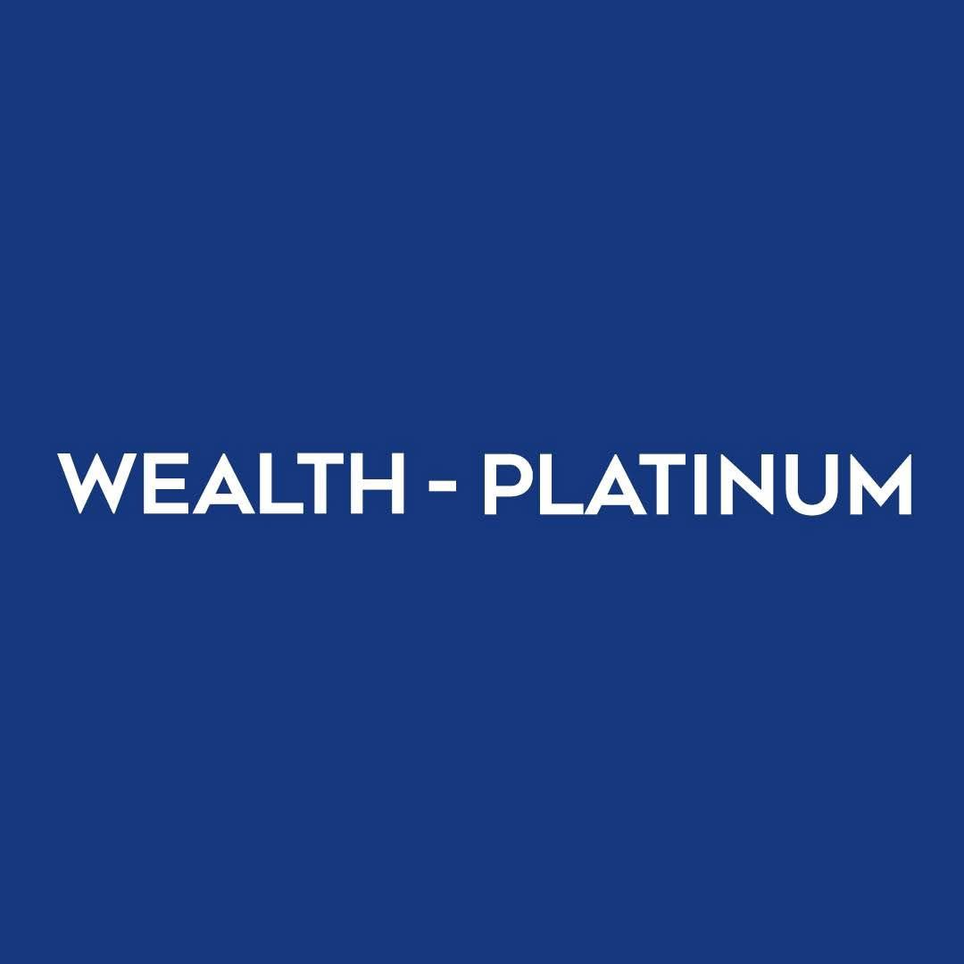 Ramy Rizk-Wealth | Alexandria