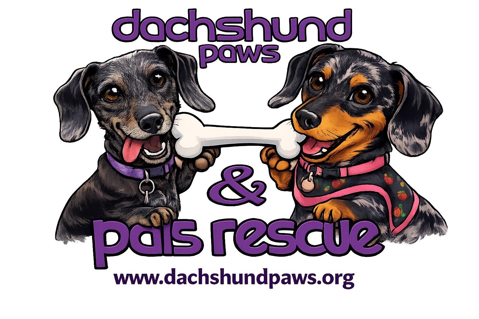 Dachshund Paws and Pals- Southern California