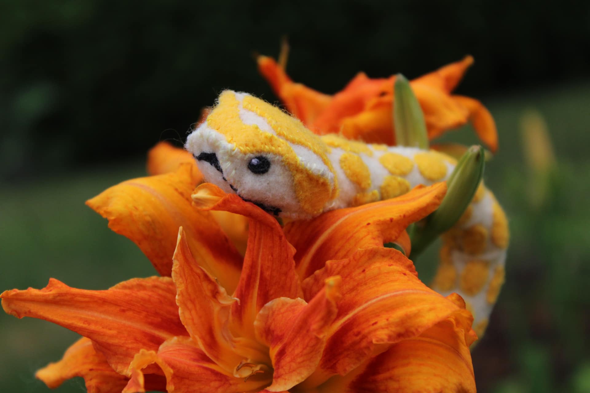 What would you pay for a hand sewn albino hognose snake?