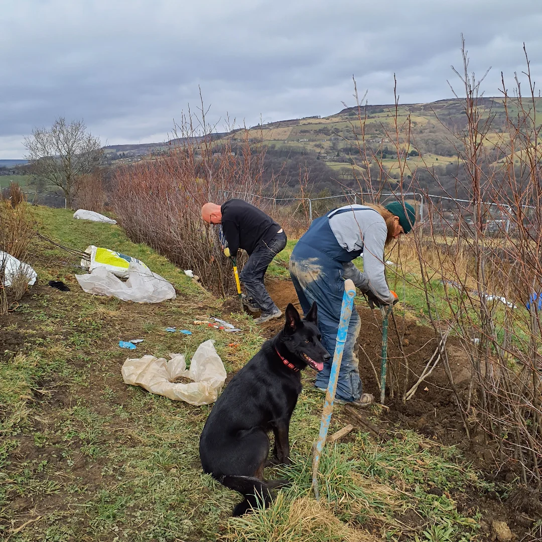 Forus Tree | Hebden Bridge