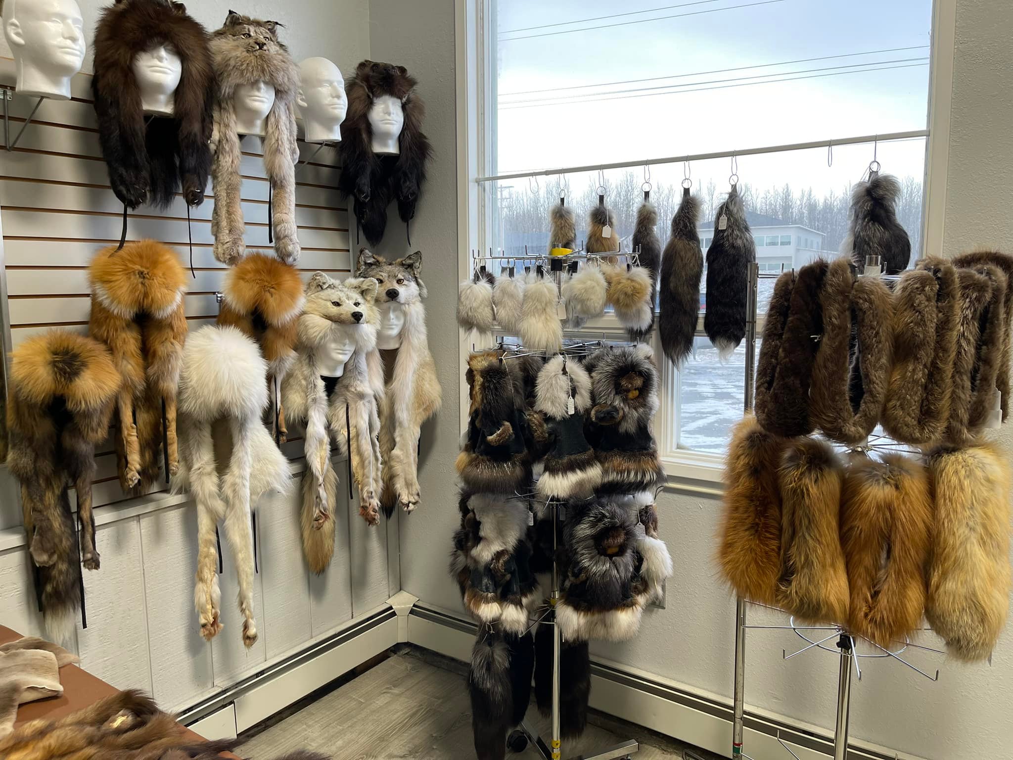 Denali Fur - Tomorrow March 2 is our last day at Fur Rondy...