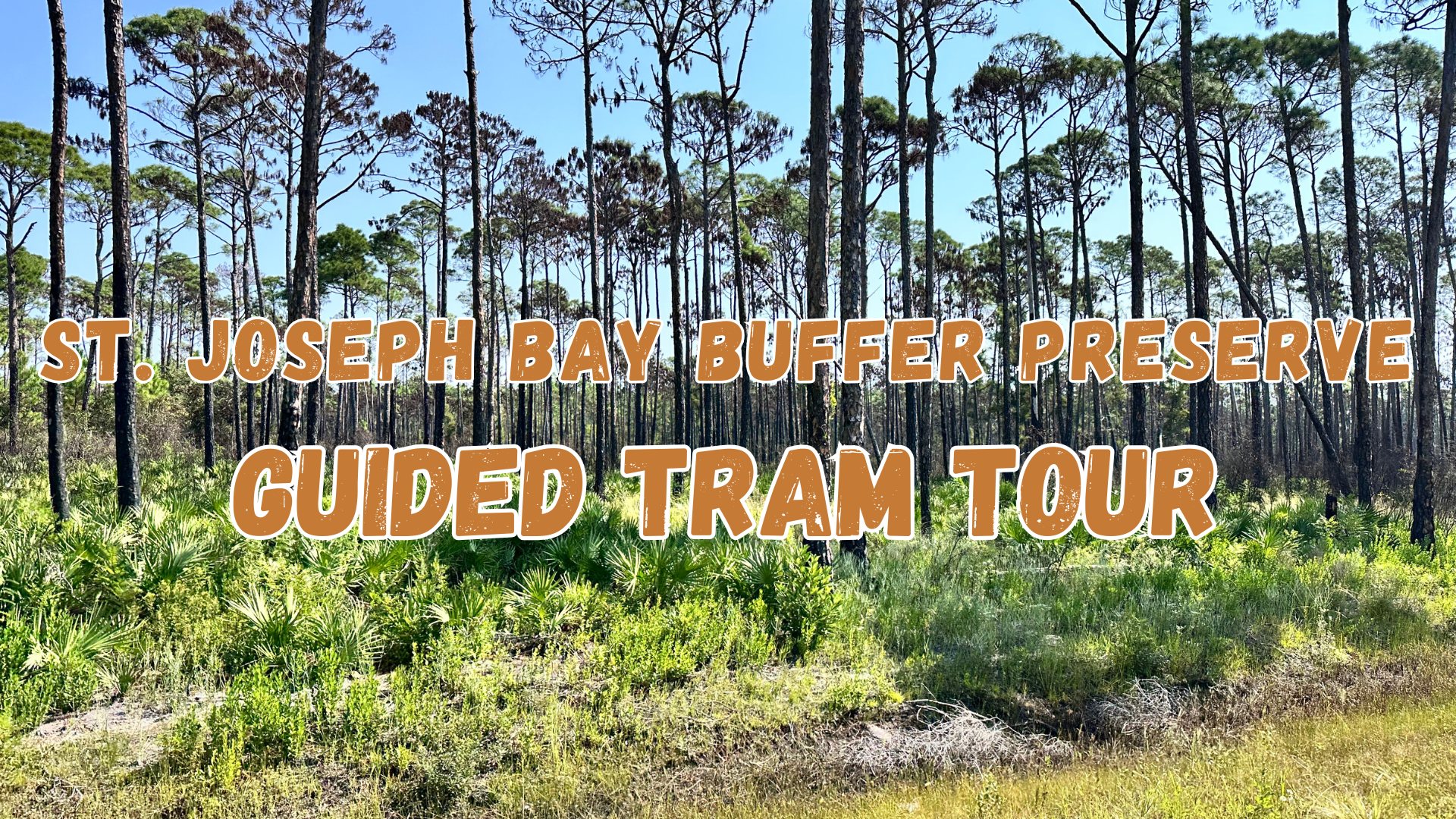 St. Joseph Bay Buffer Preserve Tram Tour