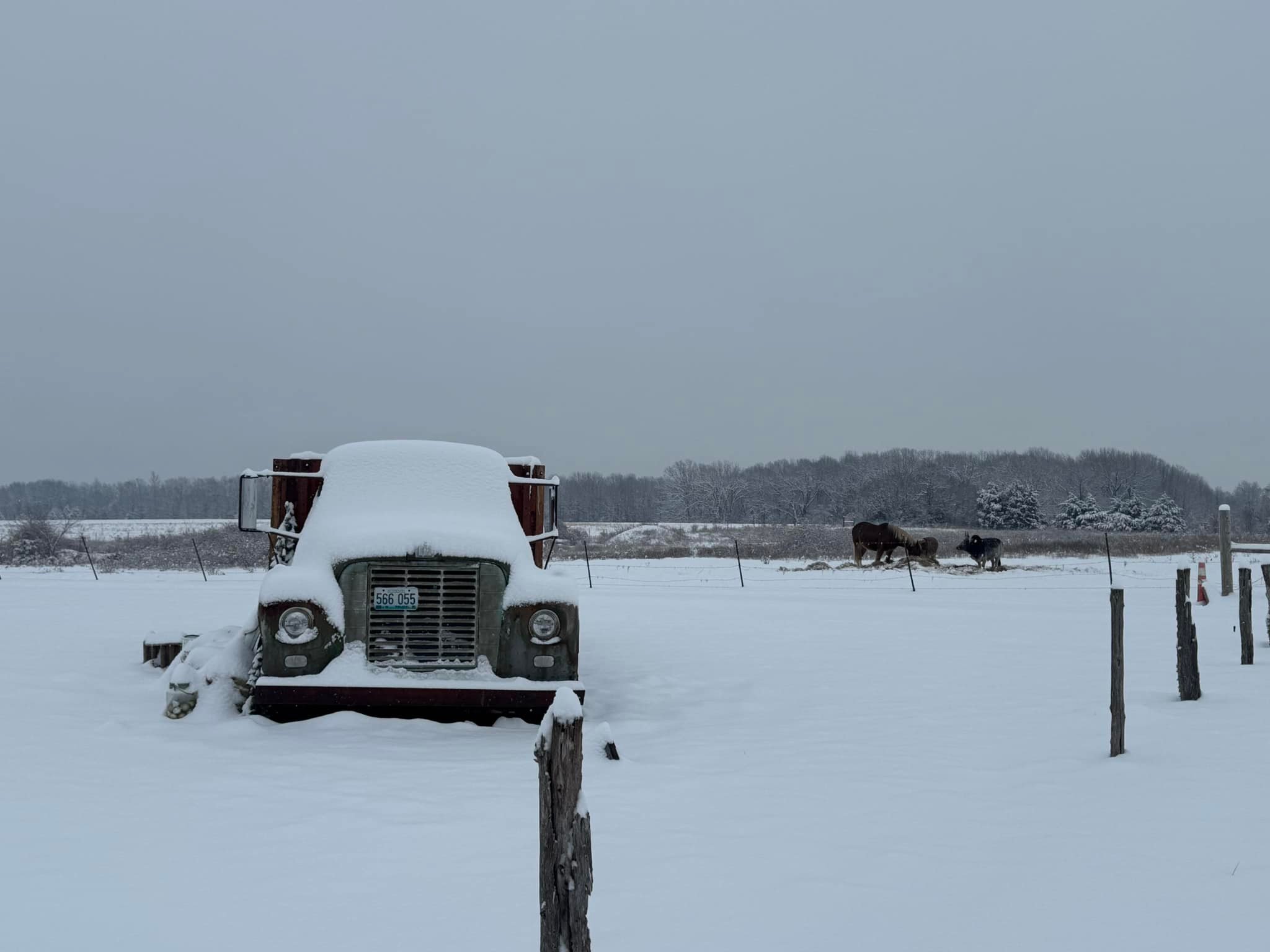 CreedsTown Ranch | Fordland MO